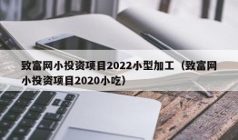 致富网小投资项目2022小型加工（致富网小投资项目2020小吃）
